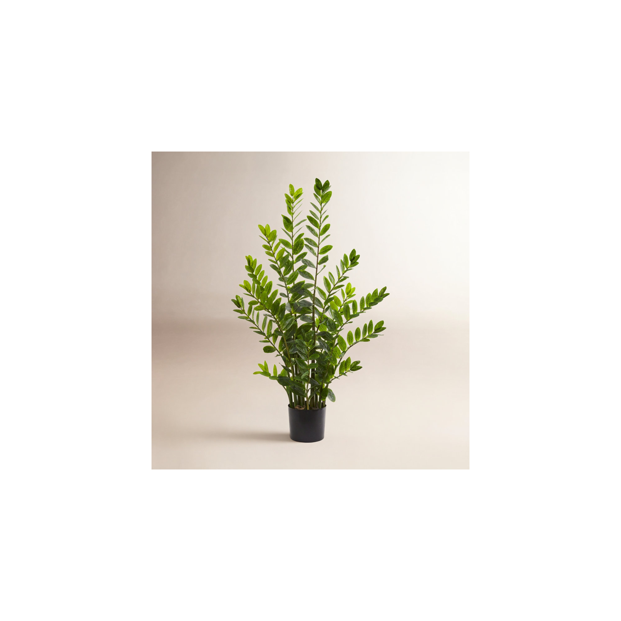 Faux ZZ Plant in Pot, 48" H x 28" W x 14" D
