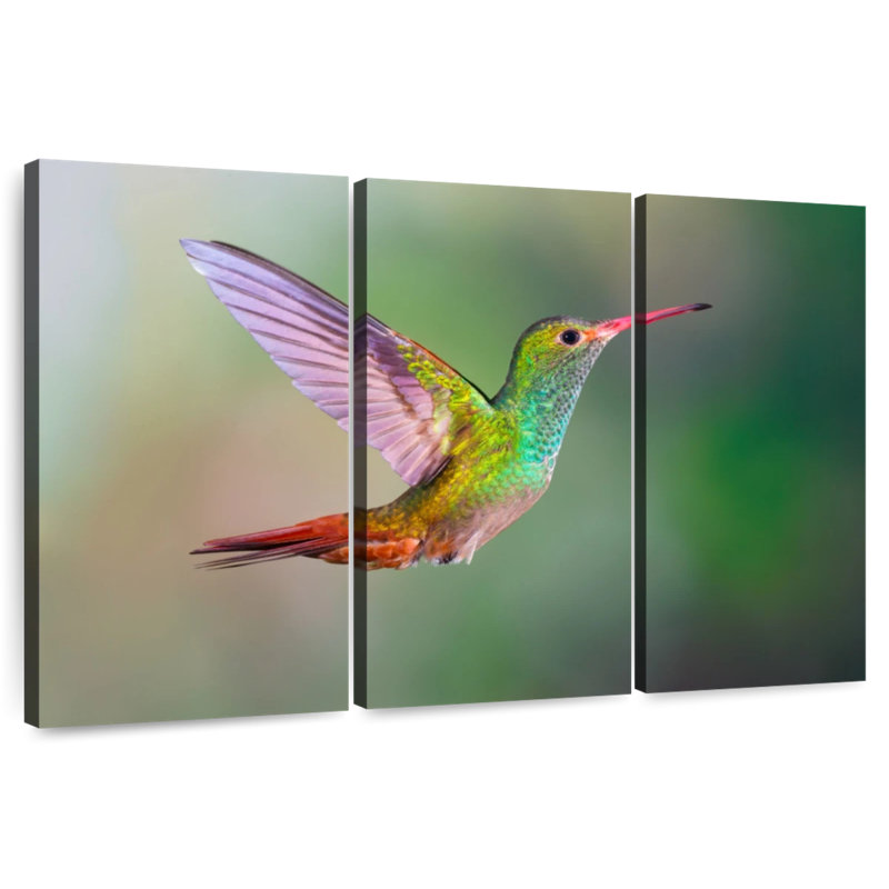 Iridescent Hummingbird, 24" H x 38" W