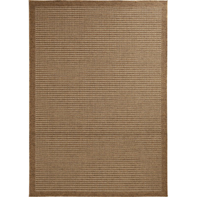Tapis intérieur / extérieur Carrico Earth