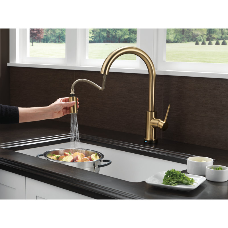 Trinsic Pull Down Sprayer Touch Kitchen Sink Faucet, Touch Control Kitchen Faucet, Brilliance Champagne Bronze