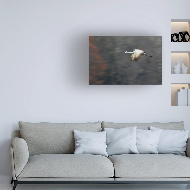 Art sur toile, Bachelor, Feng, H 16 po x l 24 po