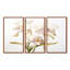 Ostrander - ensemble d'art mural orchidée-108309445-108309451
