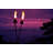 Hawaii Tiki Torches In At Sunset by Skodonnell - No Frame Art Prints on Canvas-812832795