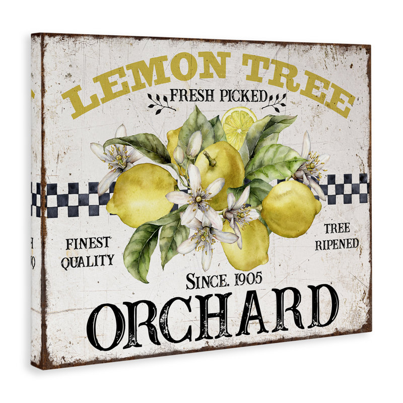 Art mural sur toile «Lemon Tree Fresh Picked» par Creatif Belle bp-613_CN, H 36 po x l 48 po