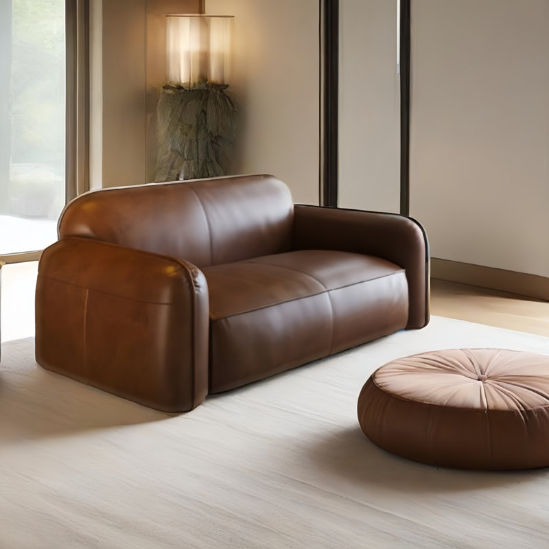 Contemporary Straight - lined Brown Sofa