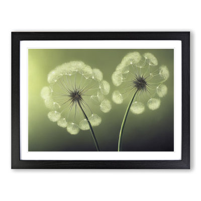 Soulful Dandelion Flowers - Framed Print