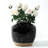 Kempinski Ceramic Pot Planter-363942490