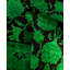 Tapis vert contemporain en laine noué à la main Correll 3 pi 2 po x 5 pi 5 po