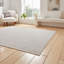 Dodsworth area rug Machine Woven Rectangle-1313174970