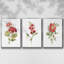 Ensemble de 3 pièces encadrées sur toile géranium écarlate-97706600-97706601