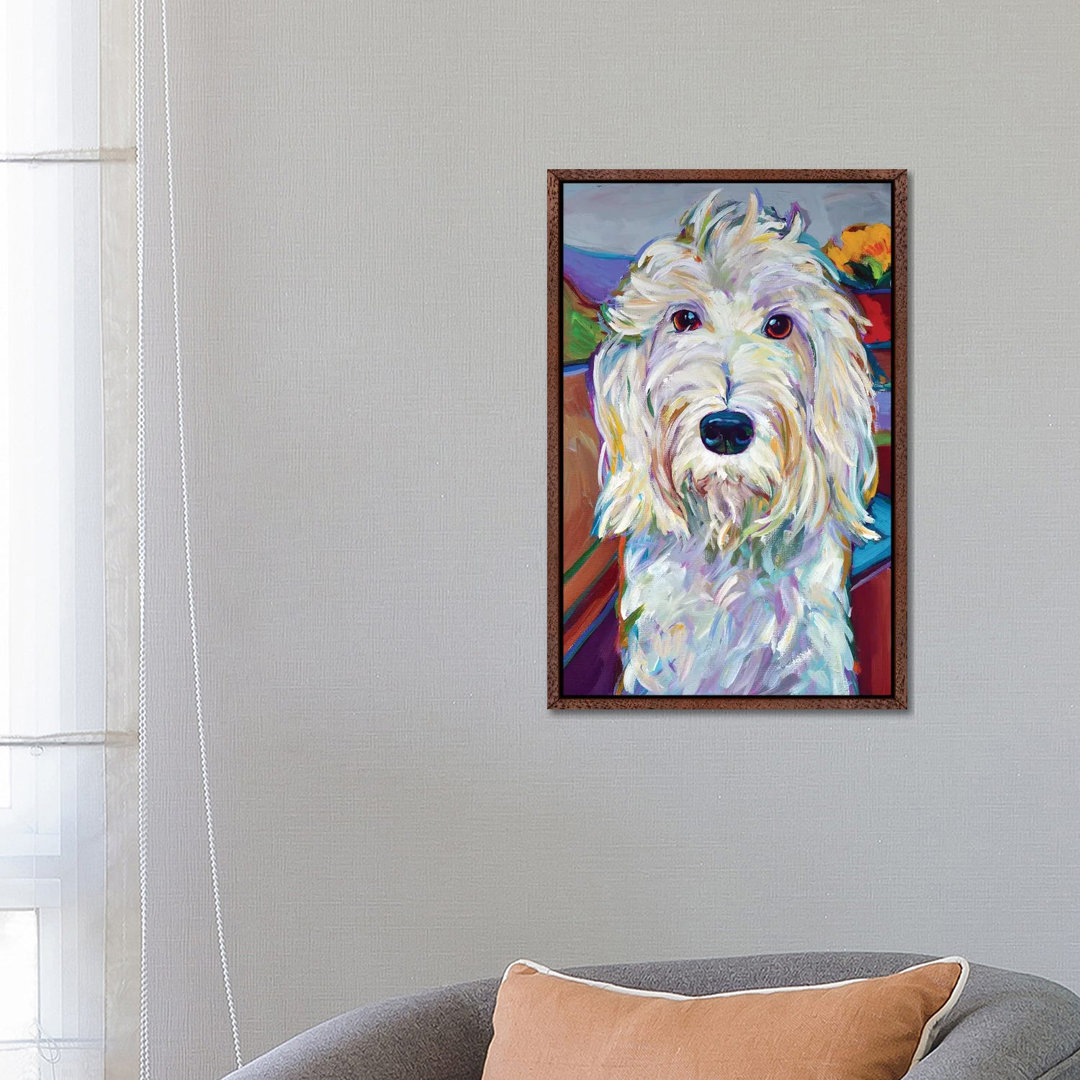 Willy The Schnoodle von Robert Phelps - Gallery-Wrapped Canvas Giclée on Canvas