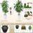 6FT Artificial Dracaena Tree