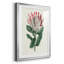 Protea N13 - Ensemble de 3 impressions encadrées-2127202176-2127202177