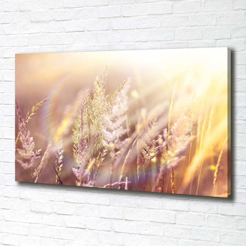 Tall Grass - Wrapped Canvas Print