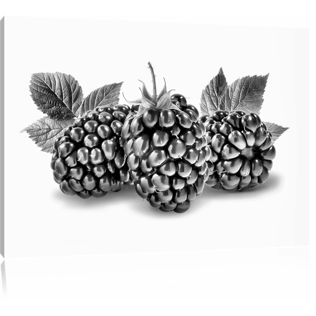 Leinwandbild Leckere Brombeeren in Monochrom