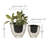 Dragutin Pot Planter