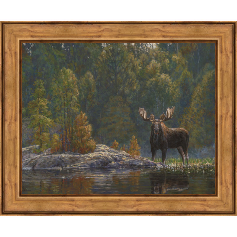 « north country orignal », reproduction de photo encadrée