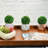 Ceramic Planter Pot Planter