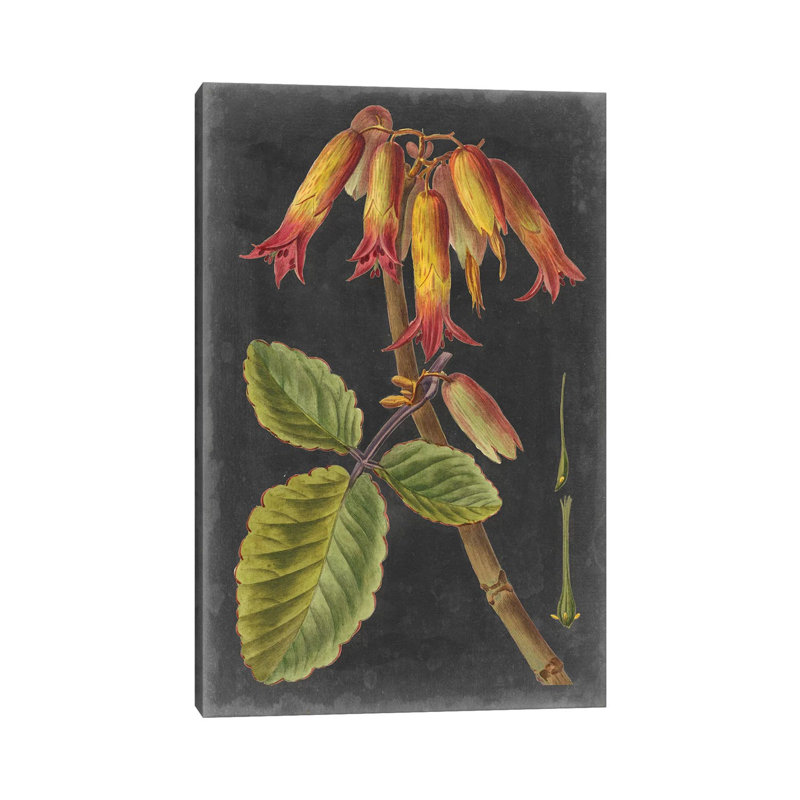 Dramatic Tropicals III by Vision Studio - Wrapped Canvas Painting, 20.32 cm H x 30.48 cm W