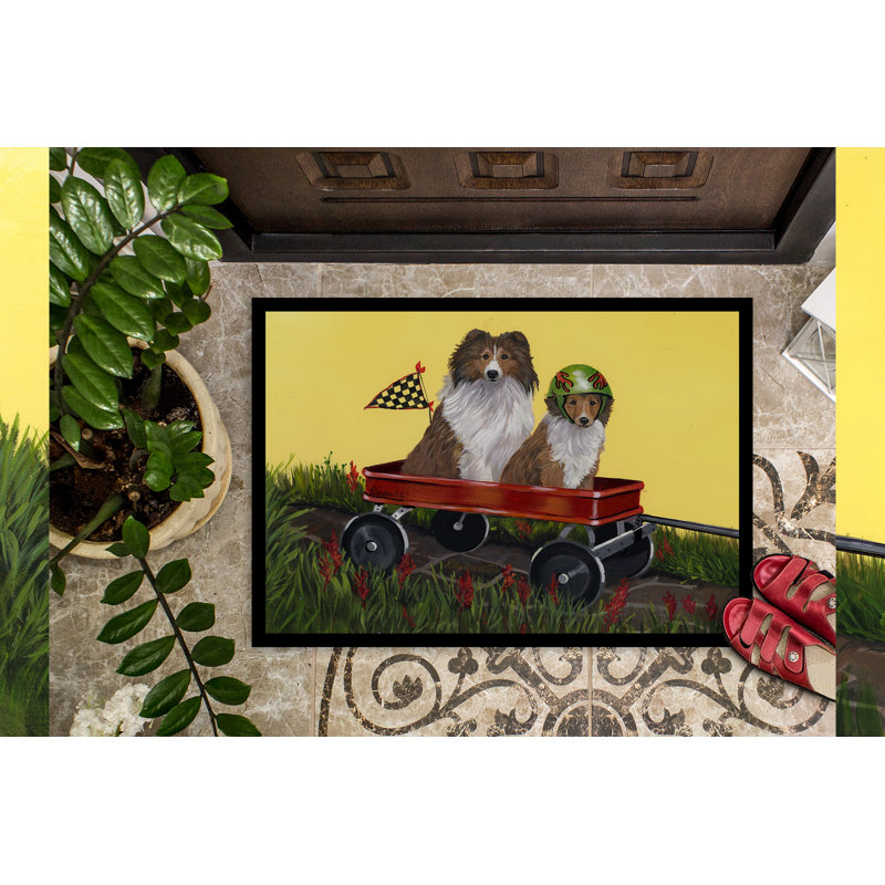Guerrie Non-Slip Outdoor Doormat, Sheltie Sheepdog Express