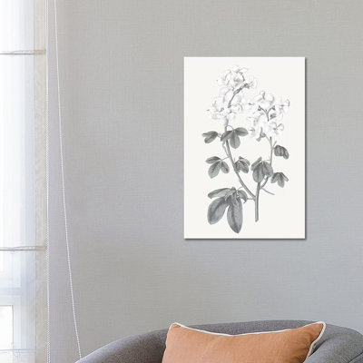 Neutral Botanical III - Wrapped Canvas Painting