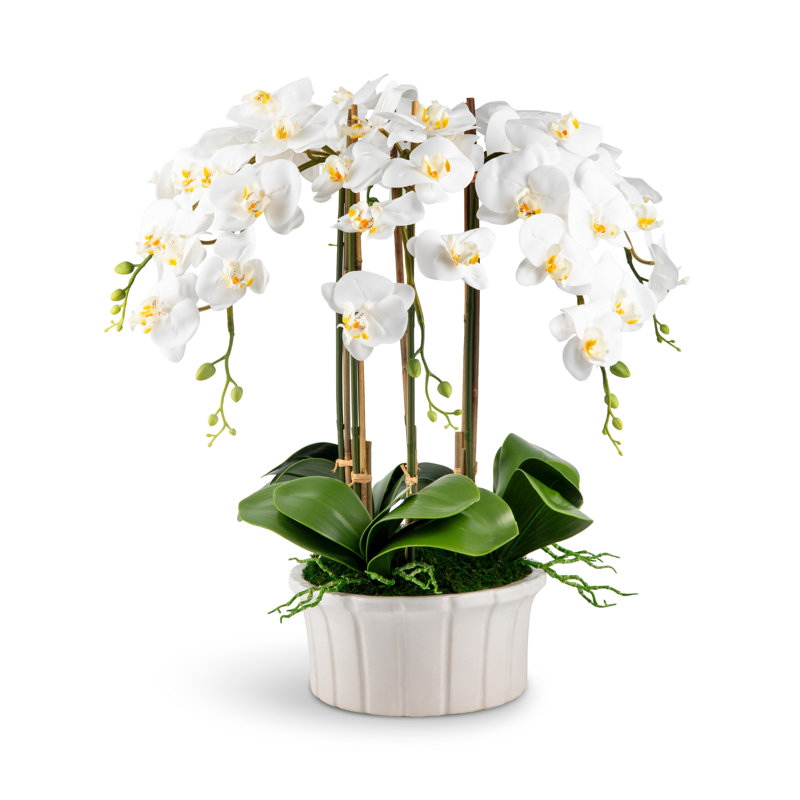 Lugano RealTouch Orchid Arrangement, Snow