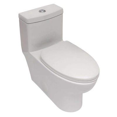 Ceramic One Piece Toilet,Dual Flush With Soft Clsoing Seat