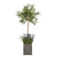 Berenice Handmade Pot Planter-14486351-48478046
