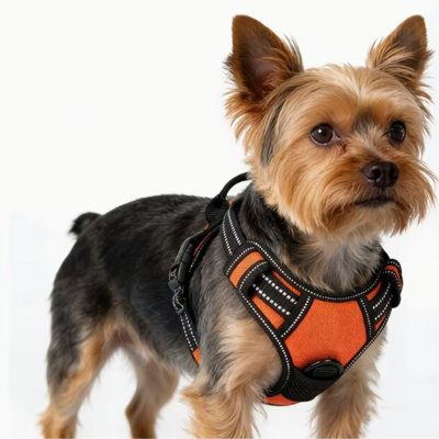 Beddora Dog Harness and Leash Set for Small Dogs & Puppies, Adjustable Reflective Soft Padded Vest Harness with Breathable Mesh, Secure Buckle and Durable Leash, Orange, Small