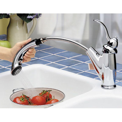 Marielle Pull Out Single Handle Kitchen Faucet
