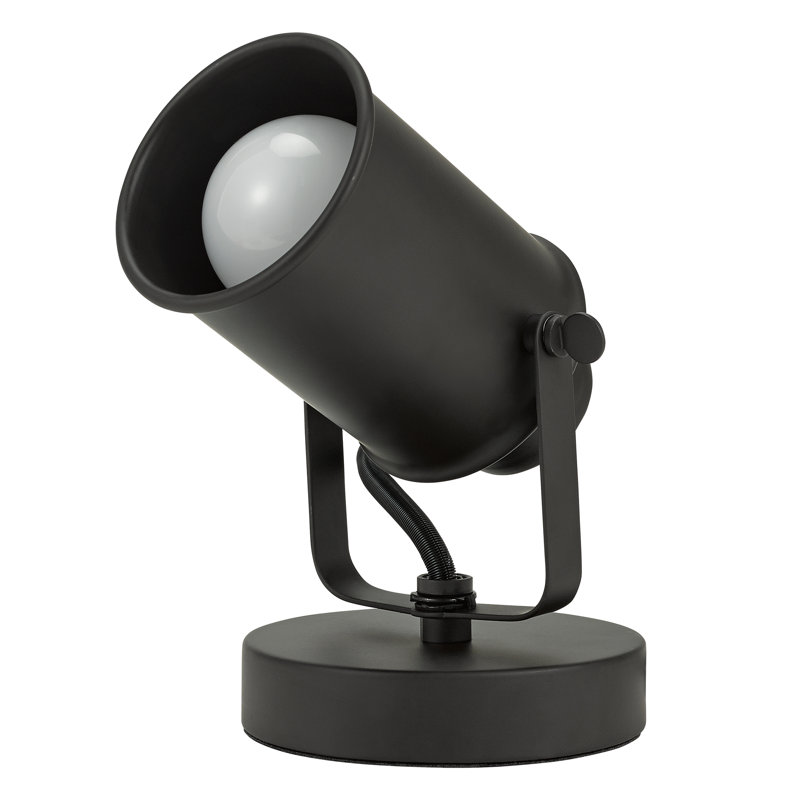Multipurpose Spotlight
