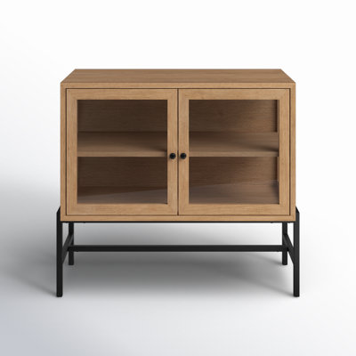 Warner 2 -Door Storage Cabinet