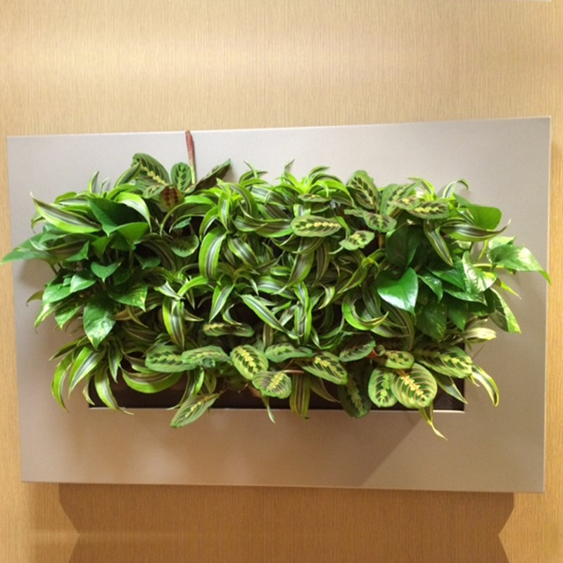 Metal Planter, Silver, 46" H x 44.49" W x 2.36" D