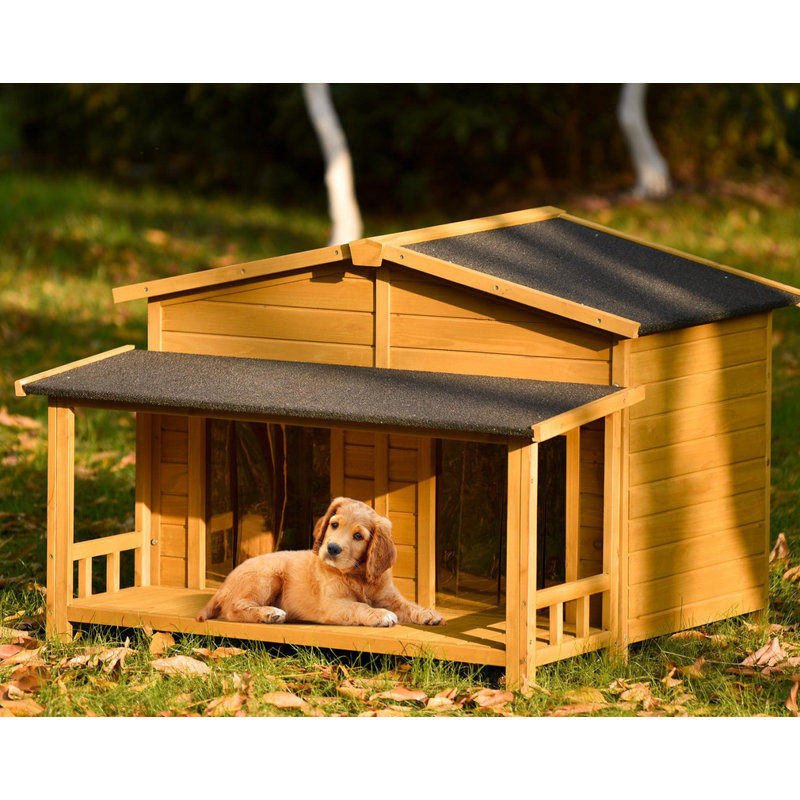 Niche pour chien en bois Danina, H 32 po x l 47,2 po x P 37,4 po, Naturel