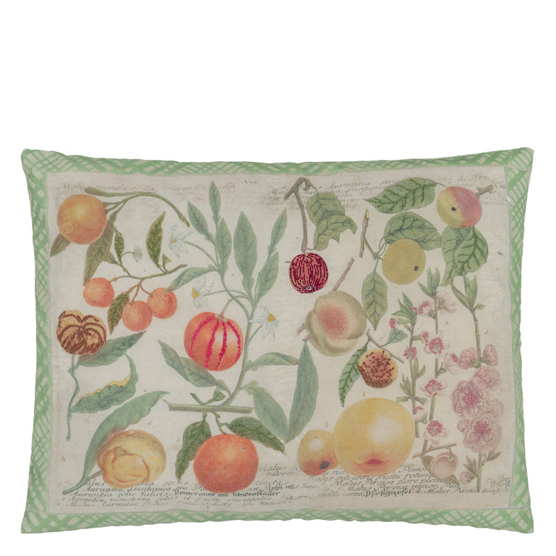 Oranges Canvas Decorative Pillow