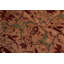 Tapis oriental en laine noué à la main de style taupe / vert / brique de 5 pi 4 po x 6 pi 10 po Parice