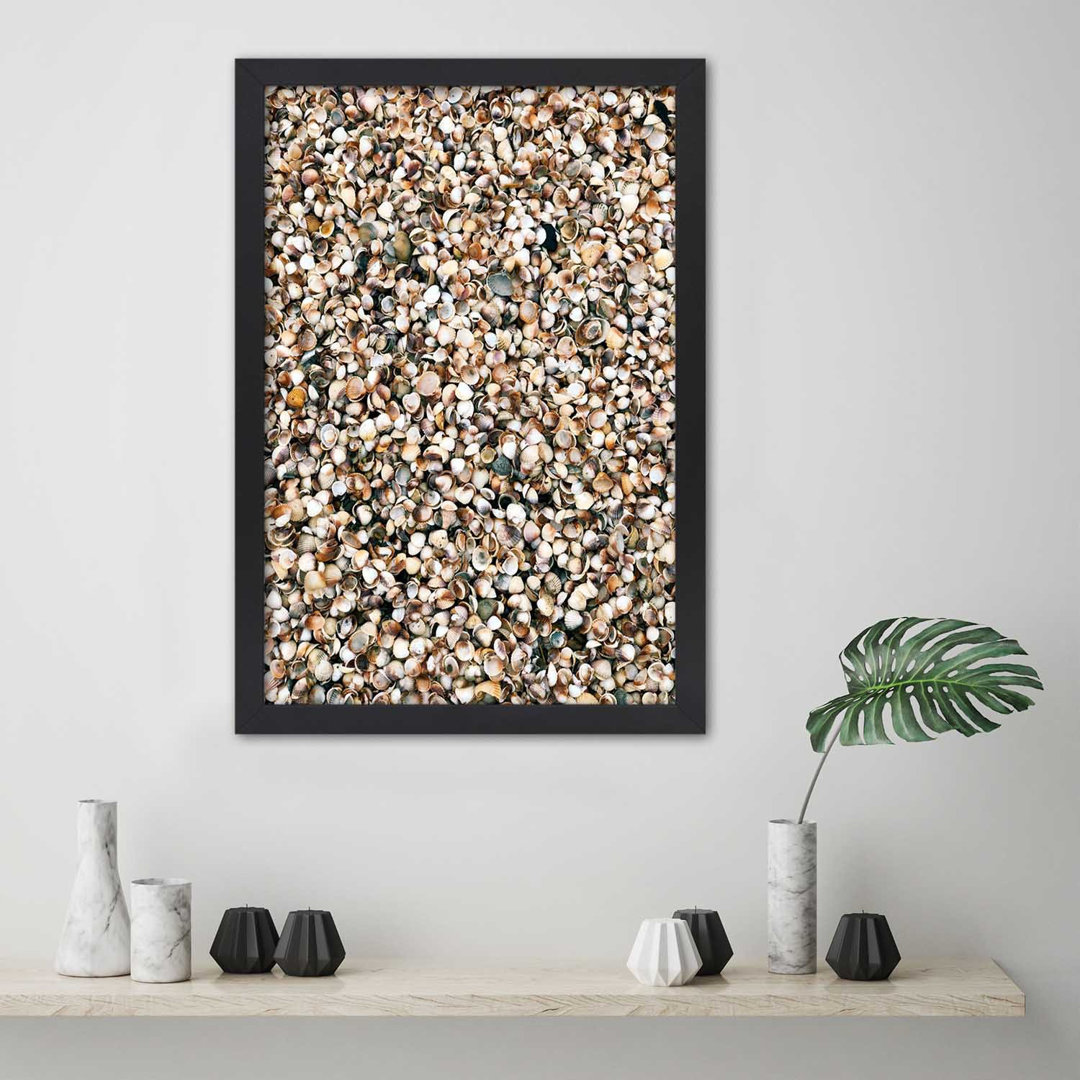 Gerahmtes Poster Shells Abstraction