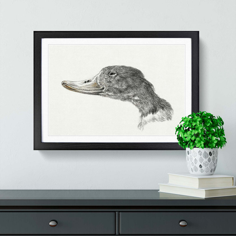 Head of a Duck by Jean Bernard - Picture Frame Drawing Print, 48cm H x 65cm W x 2cm D, Black Framed
