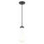 Luminaire suspendu à 1 lumière Owego-999817208-999817209-970555882