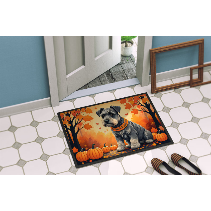 Tapis d'entrée / extérieur antidérapant Nomaan, L 18 po x L 27 po