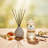 Amber Romance Reed Diffuser Refill Oil