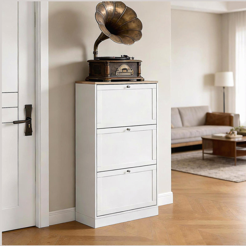 Armoire de rangement pour chaussures, armoire de rangement pour chaussures cachée