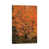 Canvas selected