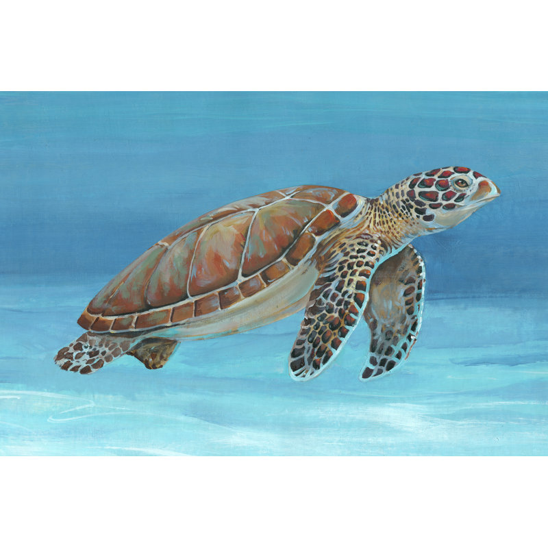 Tortue de mer océanique I, H 24 po x l 36 po x P 1,25 po