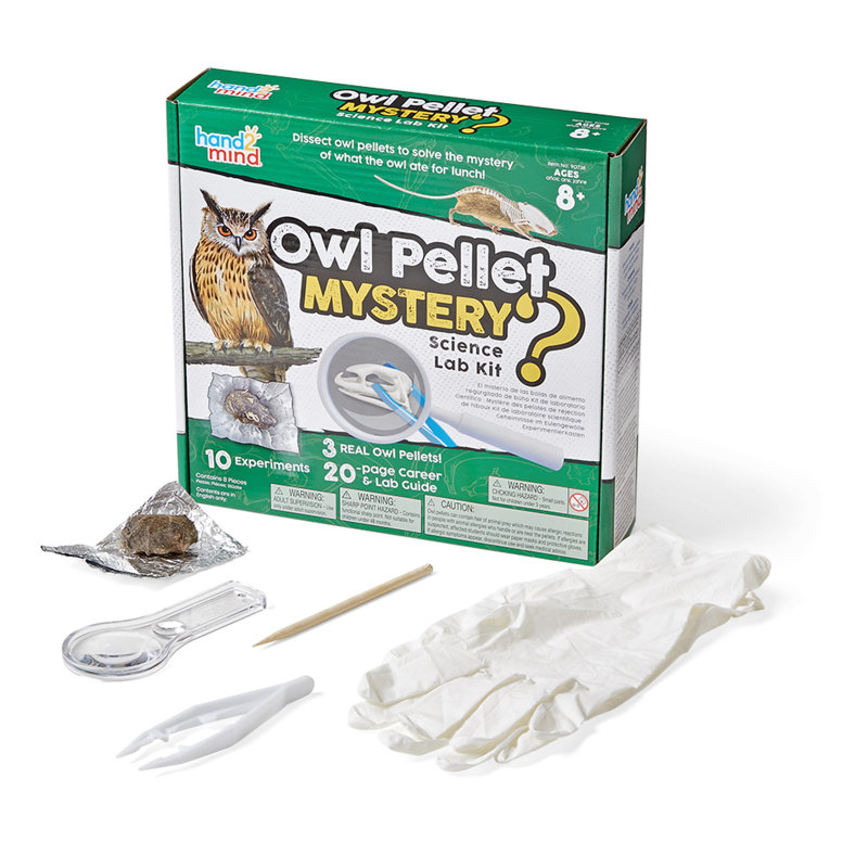 Jeu éducatif Owl