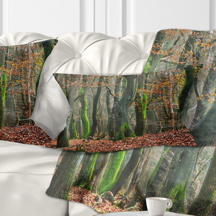 Oreiller de la forêt d’automne dans le paysage néerlandais, 16 po x 16 po, Coussin décoratif