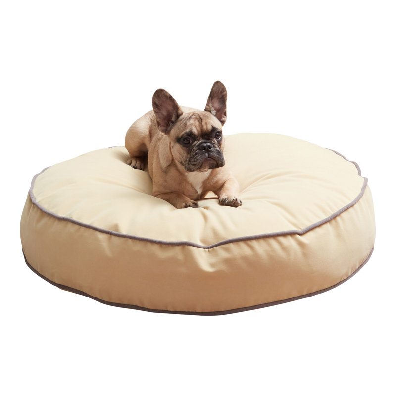 Lit pour chien Buckhead, Moyen (l 30 po x P 30 po x H 5 po), Crème au beurre