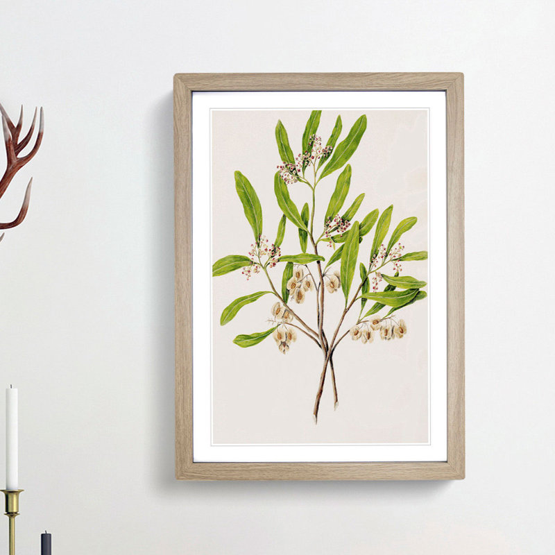 Akeake Flowers by Sarah Featon - Single Picture Frame Painting, Oak Framed, 63cm H x 45cm W x 2cm D