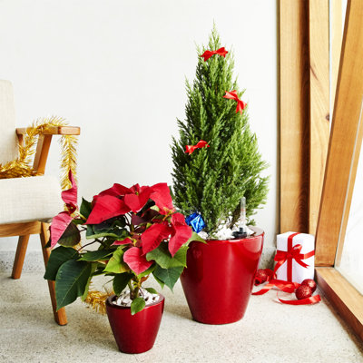 2-Pack Smart Self-watering Planter Pot