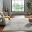 Quinzio Hand Knotted Wool Area Rug in Beige-139555277